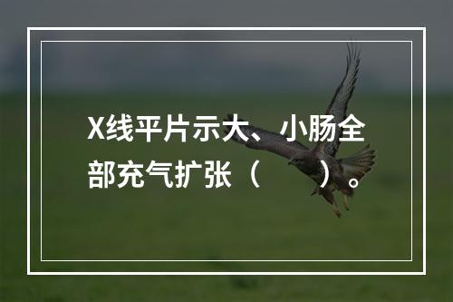 X线平片示大、小肠全部充气扩张（　　）。