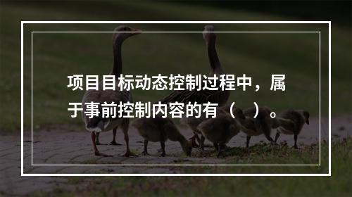 项目目标动态控制过程中，属于事前控制内容的有（　）。