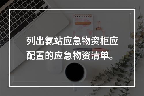 列出氨站应急物资柜应配置的应急物资清单。