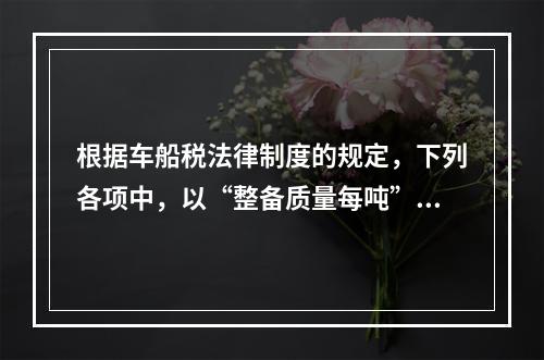 根据车船税法律制度的规定，下列各项中，以“整备质量每吨”为计