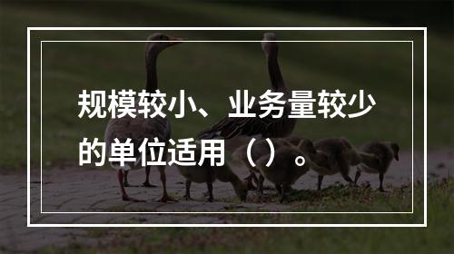 规模较小、业务量较少的单位适用（ ）。