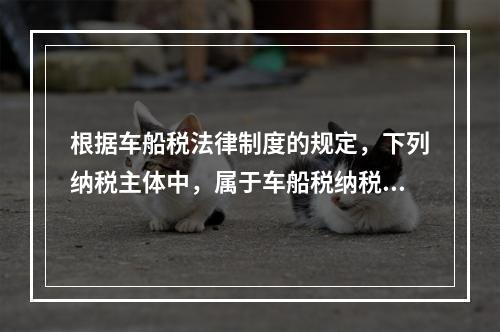 根据车船税法律制度的规定，下列纳税主体中，属于车船税纳税人的