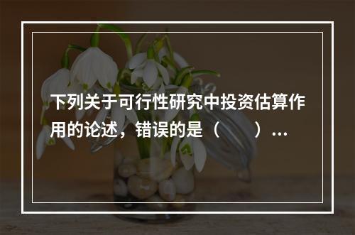 下列关于可行性研究中投资估算作用的论述，错误的是（　　）。