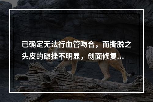 已确定无法行血管吻合，而撕脱之头皮的碾挫不明显，创面修复时的