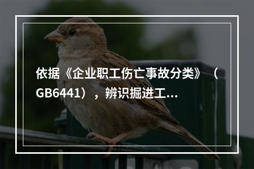 依据《企业职工伤亡事故分类》（GB6441），辨识掘进工作面