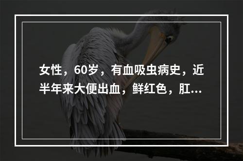 女性，60岁，有血吸虫病史，近半年来大便出血，鲜红色，肛门指