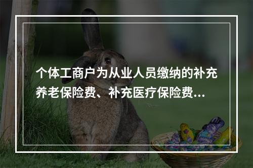 个体工商户为从业人员缴纳的补充养老保险费、补充医疗保险费，分