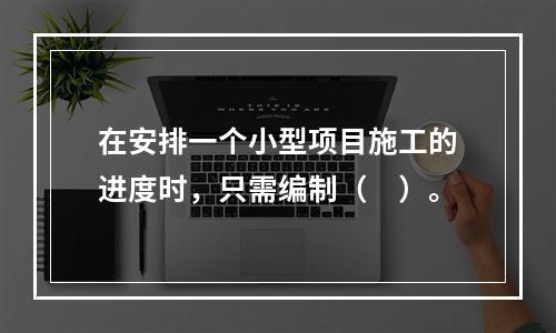 在安排一个小型项目施工的进度时，只需编制（　）。