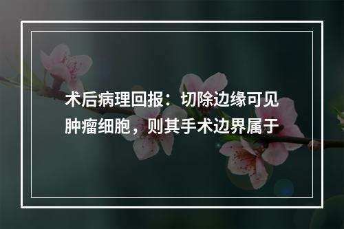 术后病理回报：切除边缘可见肿瘤细胞，则其手术边界属于