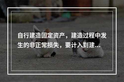 自行建造固定资产，建造过程中发生的非正常损失，要计入到建造成