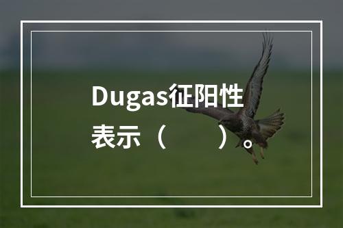 Dugas征阳性表示（　　）。