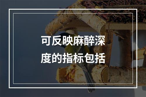 可反映麻醉深度的指标包括