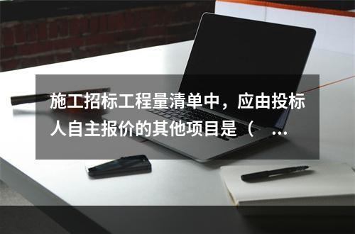 施工招标工程量清单中，应由投标人自主报价的其他项目是（　）。