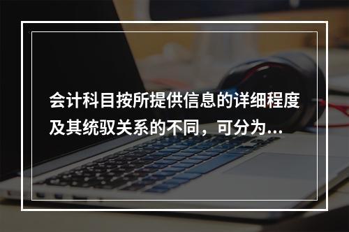 会计科目按所提供信息的详细程度及其统驭关系的不同，可分为（