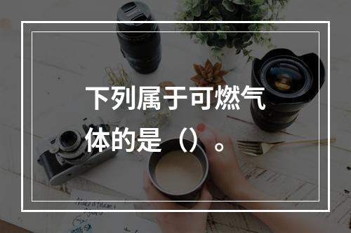 下列属于可燃气体的是（）。