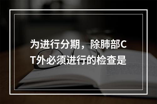 为进行分期，除肺部CT外必须进行的检查是