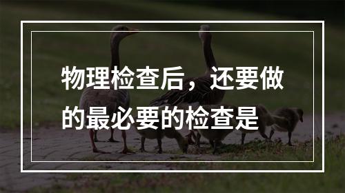 物理检查后，还要做的最必要的检查是