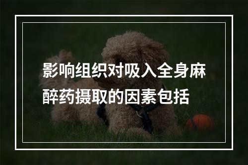 影响组织对吸入全身麻醉药摄取的因素包括