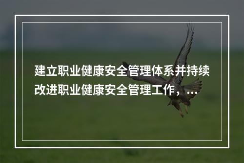 建立职业健康安全管理体系并持续改进职业健康安全管理工作，应坚