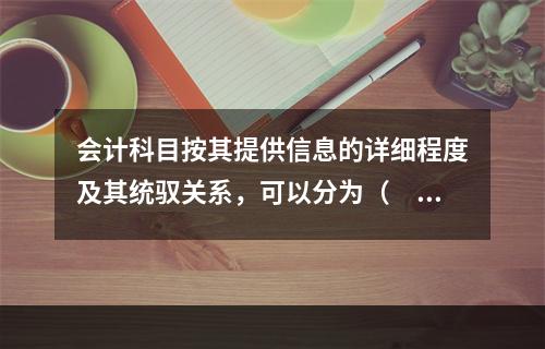 会计科目按其提供信息的详细程度及其统驭关系，可以分为（　　）