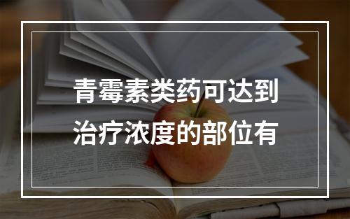 青霉素类药可达到治疗浓度的部位有