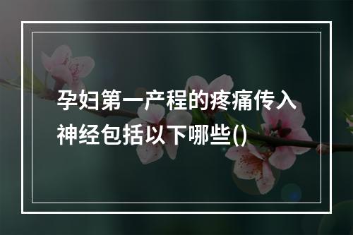 孕妇第一产程的疼痛传入神经包括以下哪些()