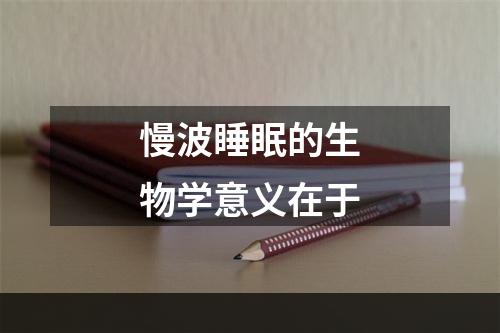 慢波睡眠的生物学意义在于