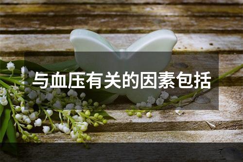 与血压有关的因素包括