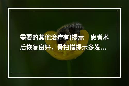 需要的其他治疗有(提示　患者术后恢复良好，骨扫描提示多发肋骨