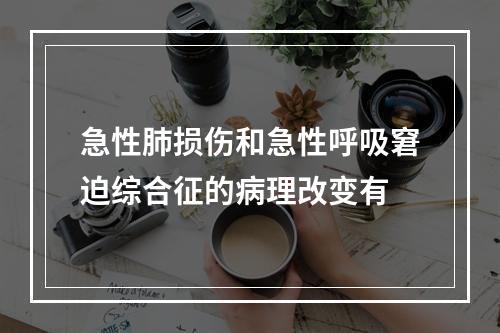 急性肺损伤和急性呼吸窘迫综合征的病理改变有