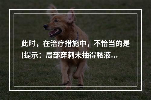 此时，在治疗措施中，不恰当的是(提示：局部穿刺未抽得脓液，仅