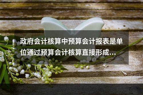 政府会计核算中预算会计报表是单位通过预算会计核算直接形成的报