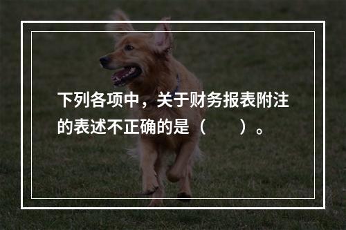 下列各项中，关于财务报表附注的表述不正确的是（　　）。