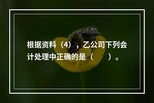 根据资料（4），乙公司下列会计处理中正确的是（　　）。