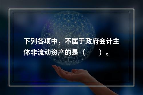 下列各项中，不属于政府会计主体非流动资产的是（　　）。