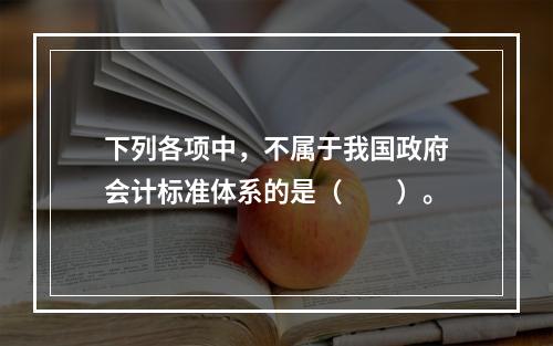 下列各项中，不属于我国政府会计标准体系的是（　　）。