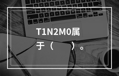 T1N2M0属于（　　）。