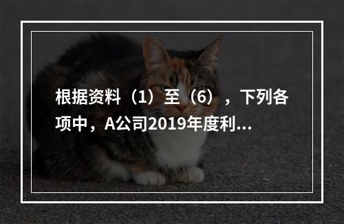 根据资料（1）至（6），下列各项中，A公司2019年度利润表