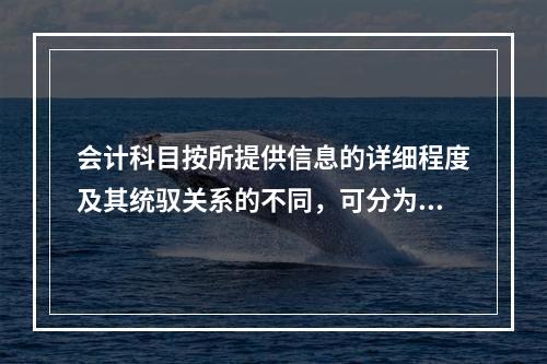 会计科目按所提供信息的详细程度及其统驭关系的不同，可分为（