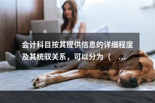 会计科目按其提供信息的详细程度及其统驭关系，可以分为（　　）