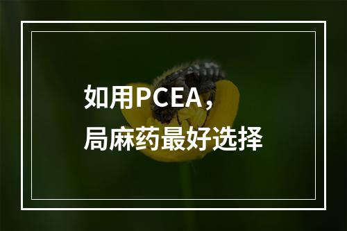 如用PCEA，局麻药最好选择