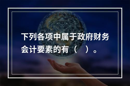 下列各项中属于政府财务会计要素的有（　）。