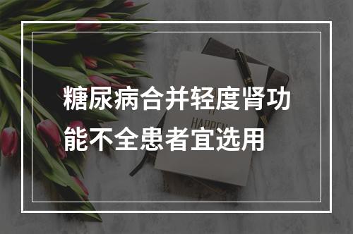 糖尿病合并轻度肾功能不全患者宜选用