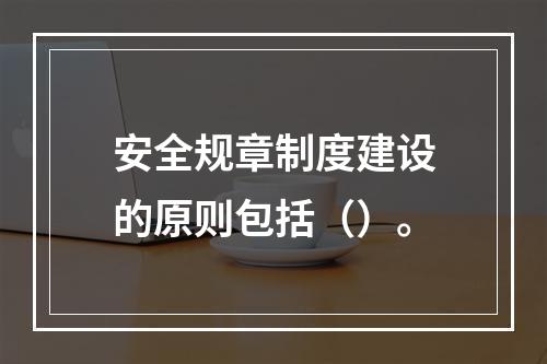 安全规章制度建设的原则包括（）。