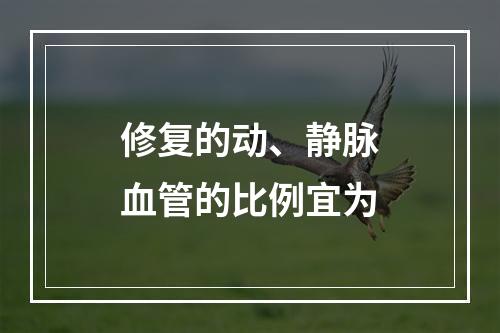 修复的动、静脉血管的比例宜为