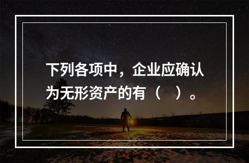 下列各项中，企业应确认为无形资产的有（　）。