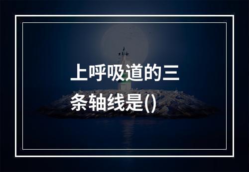 上呼吸道的三条轴线是()