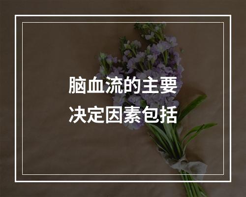 脑血流的主要决定因素包括