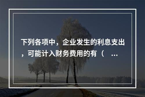 下列各项中，企业发生的利息支出，可能计入财务费用的有（　）。