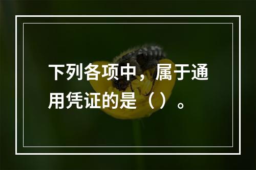 下列各项中，属于通用凭证的是（ ）。